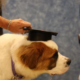 photograph by PeterW